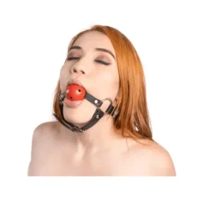 Ball Gag Iver